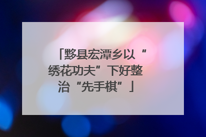 黟县宏潭乡以“绣花功夫”下好整治“先手棋”
