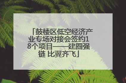 鼓楼区低空经济产业专场对接会签约18个项目——建圈强链 比翼齐飞