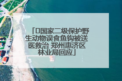 ﻿国家二级保护野生动物误食鱼钩被送医救治 郑州惠济区林业局回应