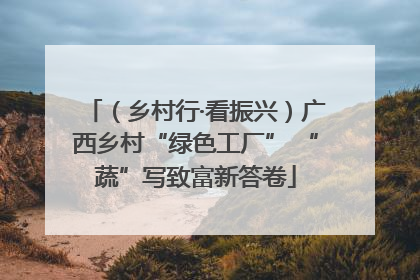（乡村行·看振兴）广西乡村“绿色工厂” “蔬”写致富新答卷
