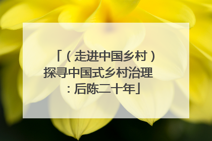 （走进中国乡村）探寻中国式乡村治理：后陈二十年