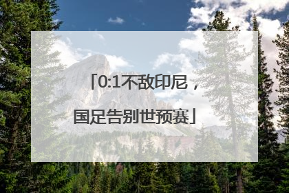 0:1不敌印尼，国足告别世预赛