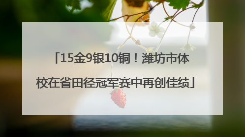 15金9银10铜！潍坊市体校在省田径冠军赛中再创佳绩