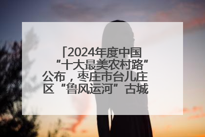 2024年度中国“十大最美农村路”公布，枣庄市台儿庄区“鲁风运河”古城文化廊道上榜！