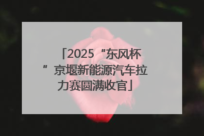 2025“东风杯”京堰新能源汽车拉力赛圆满收官