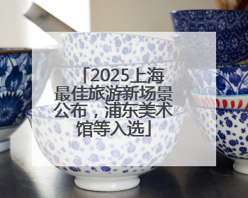 2025上海最佳旅游新场景公布，浦东美术馆等入选