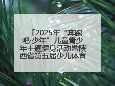 2025年“奔跑吧·少年”儿童青少年主题健身活动暨陕西省第五届少儿体育嘉年华活动将于6月14日正式举办