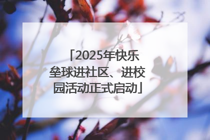 2025年快乐垒球进社区、进校园活动正式启动