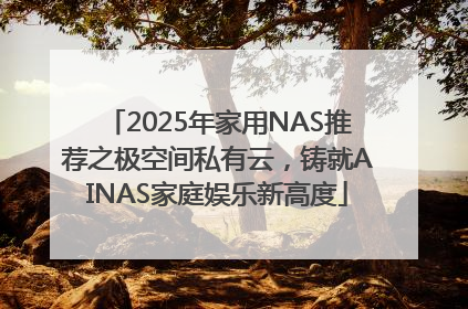 2025年家用NAS推荐之极空间私有云，铸就AINAS家庭娱乐新高度