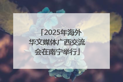 2025年海外华文媒体广西交流会在南宁举行