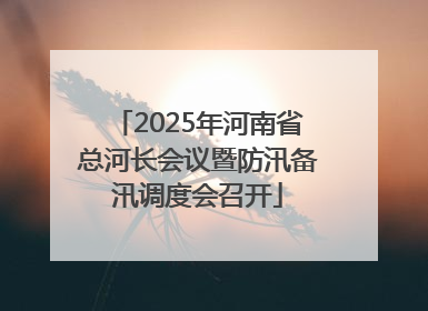 2025年河南省总河长会议暨防汛备汛调度会召开