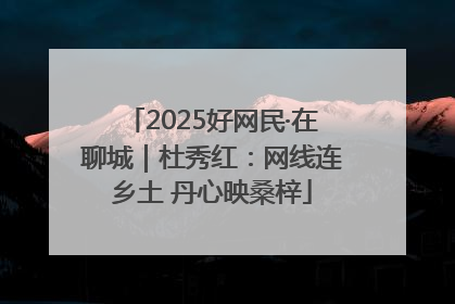 2025好网民·在聊城｜杜秀红：网线连乡土 丹心映桑梓