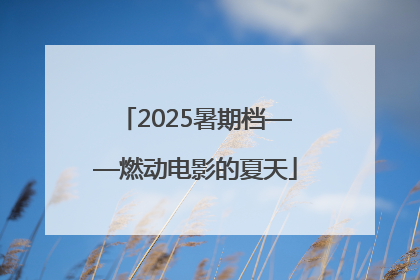 2025暑期档——燃动电影的夏天