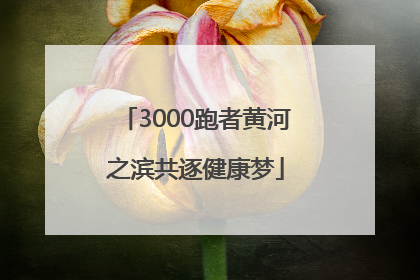 3000跑者黄河之滨共逐健康梦