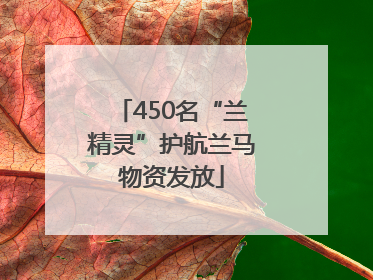 450名“兰精灵”护航兰马物资发放