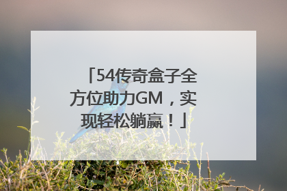 54传奇盒子全方位助力GM，实现轻松躺赢！