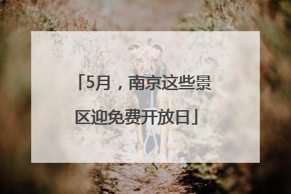 5月，南京这些景区迎免费开放日