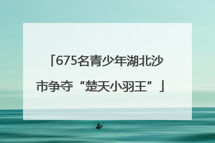 675名青少年湖北沙市争夺“楚天小羽王”