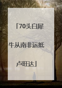 70头白犀牛从南非运抵卢旺达