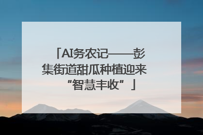 AI务农记——彭集街道甜瓜种植迎来“智慧丰收”